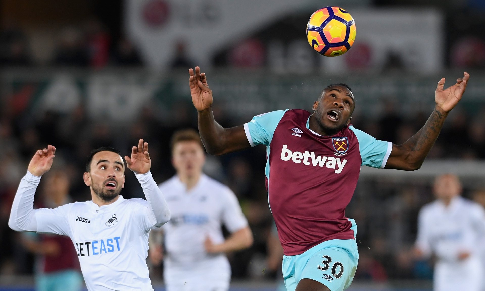 每年的金球 每年的金球